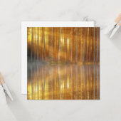 Misty Forest Scene Kaart (Voorkant / Achterkant in situ)