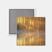 Misty Forest Scene Magneet (Voorkant / Achterkant)