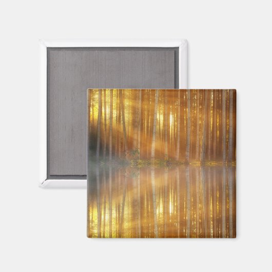 Misty Forest Scene Magneet (Voorkant / Achterkant)