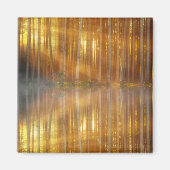 Misty Forest Scene Magneet (Voorkant)