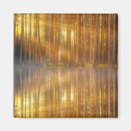 Misty Forest Scene Magneet