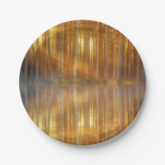 Misty Forest Scene Papieren Bordje (Voorkant)