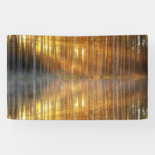 Misty Forest Scene Spandoek