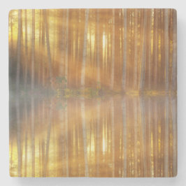 Misty Forest Scene Stenen Onderzetter