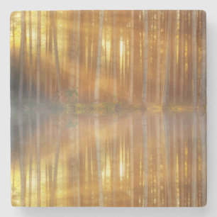 Misty Forest Scene Stenen Onderzetter