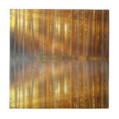 Misty Forest Scene Tegeltje (Voorkant)