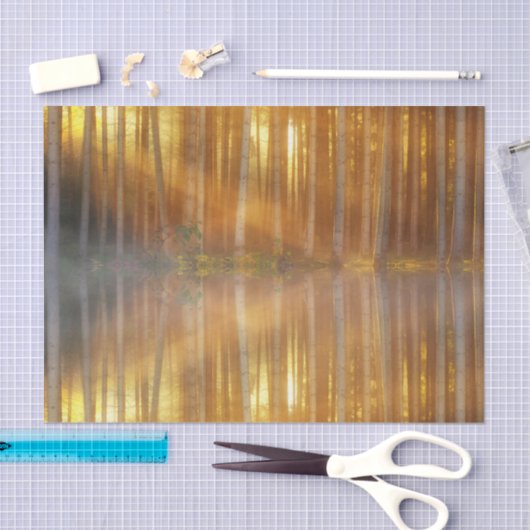 Misty Forest Scene Tissuepapier (Craft)