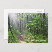 Misty Forest Trail bij Castle Mound Briefkaart (Voorkant / Achterkant)