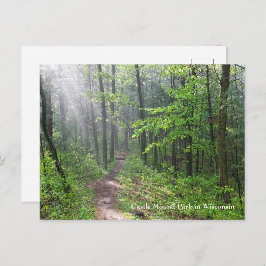 Misty Forest Trail bij Castle Mound Briefkaart (Voorkant / Achterkant)