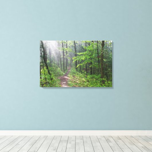 Misty Forest Trail bij Castle Mound Canvas Afdruk (Insitu (Houten vloer))