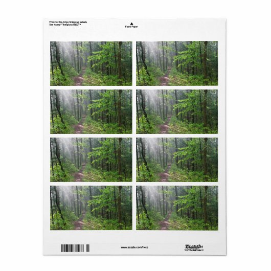 Misty Forest Trail bij Castle Mound Etiket (Full Sheet)