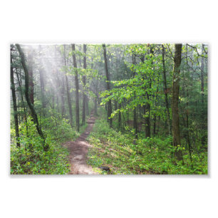 Misty Forest Trail bij Castle Mound Foto Afdruk