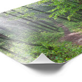 Misty Forest Trail bij Castle Mound Foto Afdruk (Hoek)