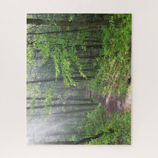 Misty Forest Trail bij Castle Mound Legpuzzel (Verticaal)