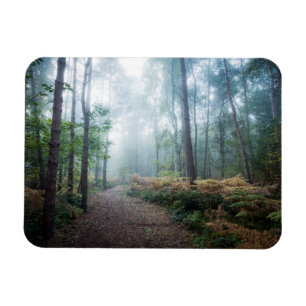 Misty Forest Walk Magneet