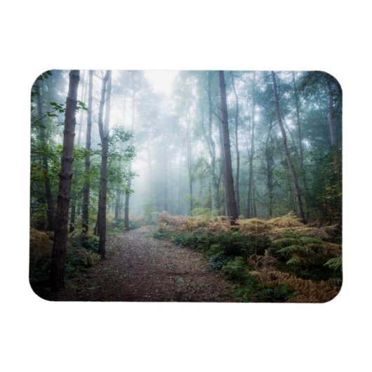 Misty Forest Walk Magneet (Horizontaal)