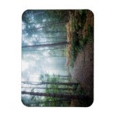 Misty Forest Walk Magneet (Verticaal)