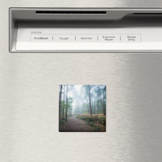 Misty Forest Walk Magneet (Insitu (Vaatwasser))