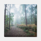 Misty Forest Walk Magneet (Voorkant)