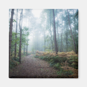 Misty Forest Walk Magneet