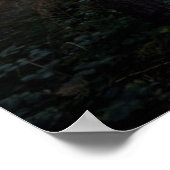 Misty Forest Walk Poster (Hoek)