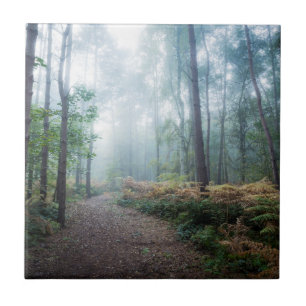Misty Forest Walk Tegeltje