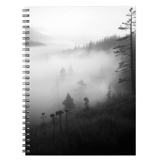 Misty Forrest, magische plek Notitieboek (Voorkant)