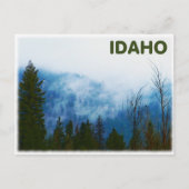 Misty Gray Briefkaart (Voorkant)