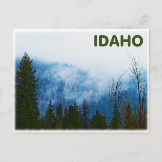 Misty Gray Briefkaart (Voorkant)