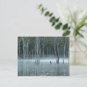 Misty Gumtree Briefkaart (Staand voorkant)