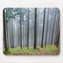 Misty herfst bos ontspanning