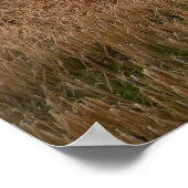 Misty Irish Meadow Print (Hoek)