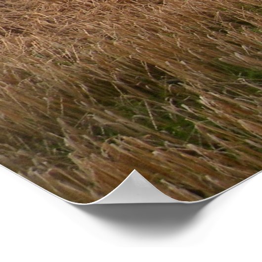 Misty Irish Meadow Print (Hoek)