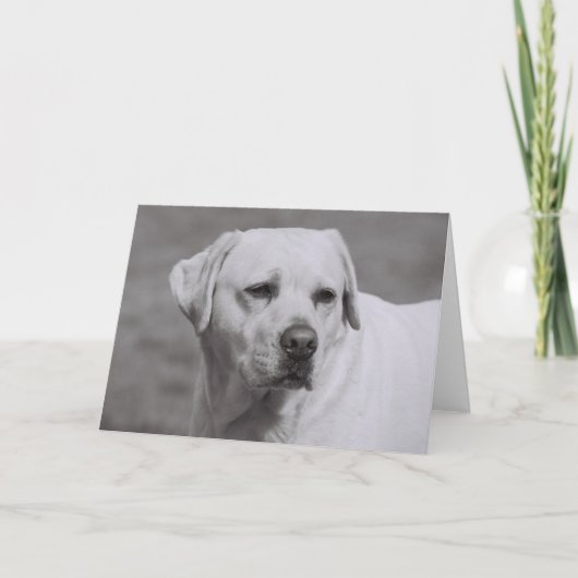 Misty Kaart (Voorkant)