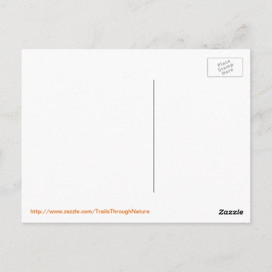 Misty Lake Sunrise Briefkaart (Achterkant)