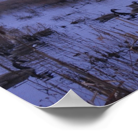 Misty Marsh Photography Poster (Hoek)