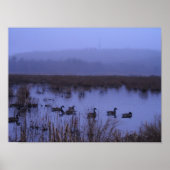 Misty Marsh Photography Poster (Voorkant)