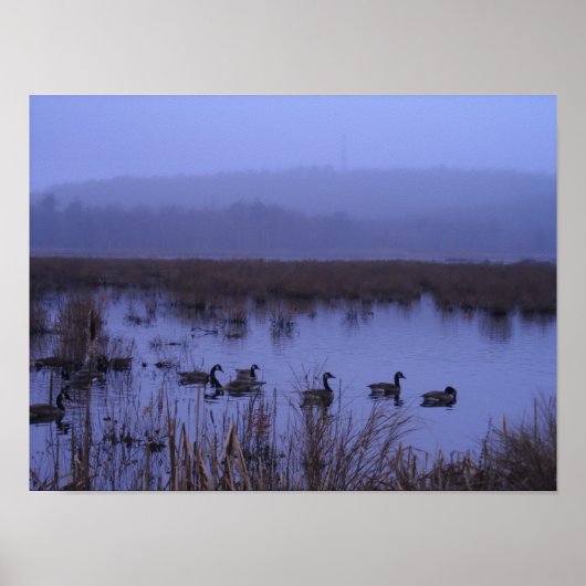 Misty Marsh Photography Poster (Voorkant)