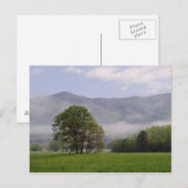 Misty meadow en Rich Mountain, Cades Cove, Briefkaart (Voorkant / Achterkant)