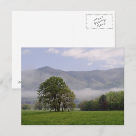 Misty meadow en Rich Mountain, Cades Cove, Briefkaart (Voorkant / Achterkant)