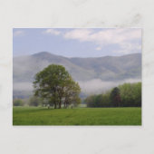 Misty meadow en Rich Mountain, Cades Cove, Briefkaart (Voorkant)
