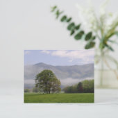 Misty meadow en Rich Mountain, Cades Cove, Briefkaart (Staand voorkant)