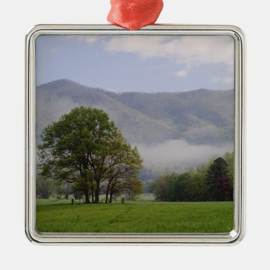 Misty meadow en Rich Mountain, Cades Cove, Metalen Ornament (Voorkant)