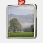Misty meadow en Rich Mountain, Cades Cove, Metalen Ornament (Links)