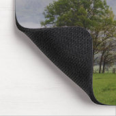 Misty meadow en Rich Mountain, Cades Cove, Muismat (Hoek)