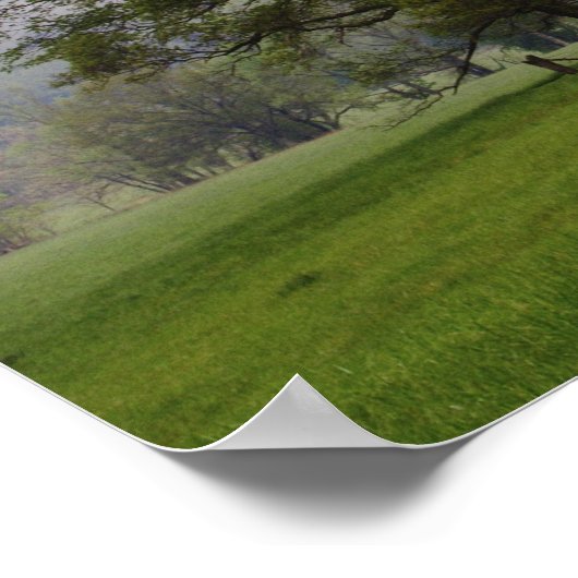 Misty meadow en Rich Mountain, Cades Cove, Poster (Hoek)