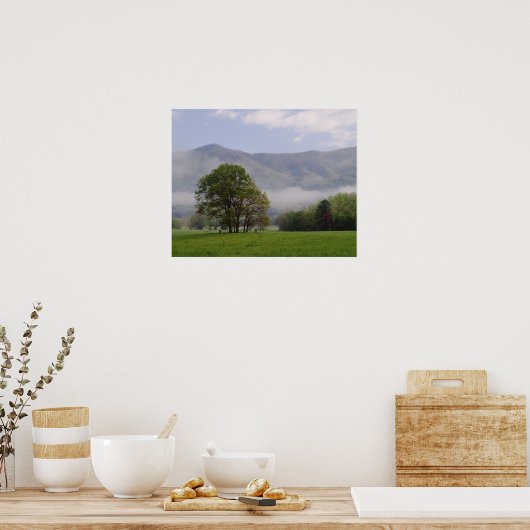 Misty meadow en Rich Mountain, Cades Cove, Poster (Keuken)