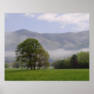 Misty meadow en Rich Mountain, Cades Cove, Poster