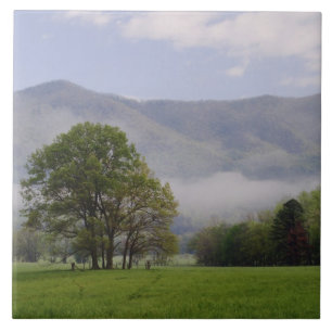 Misty meadow en Rich Mountain, Cades Cove, Tegeltje