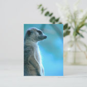 Misty Meerkat Briefkaart (Staand voorkant)
